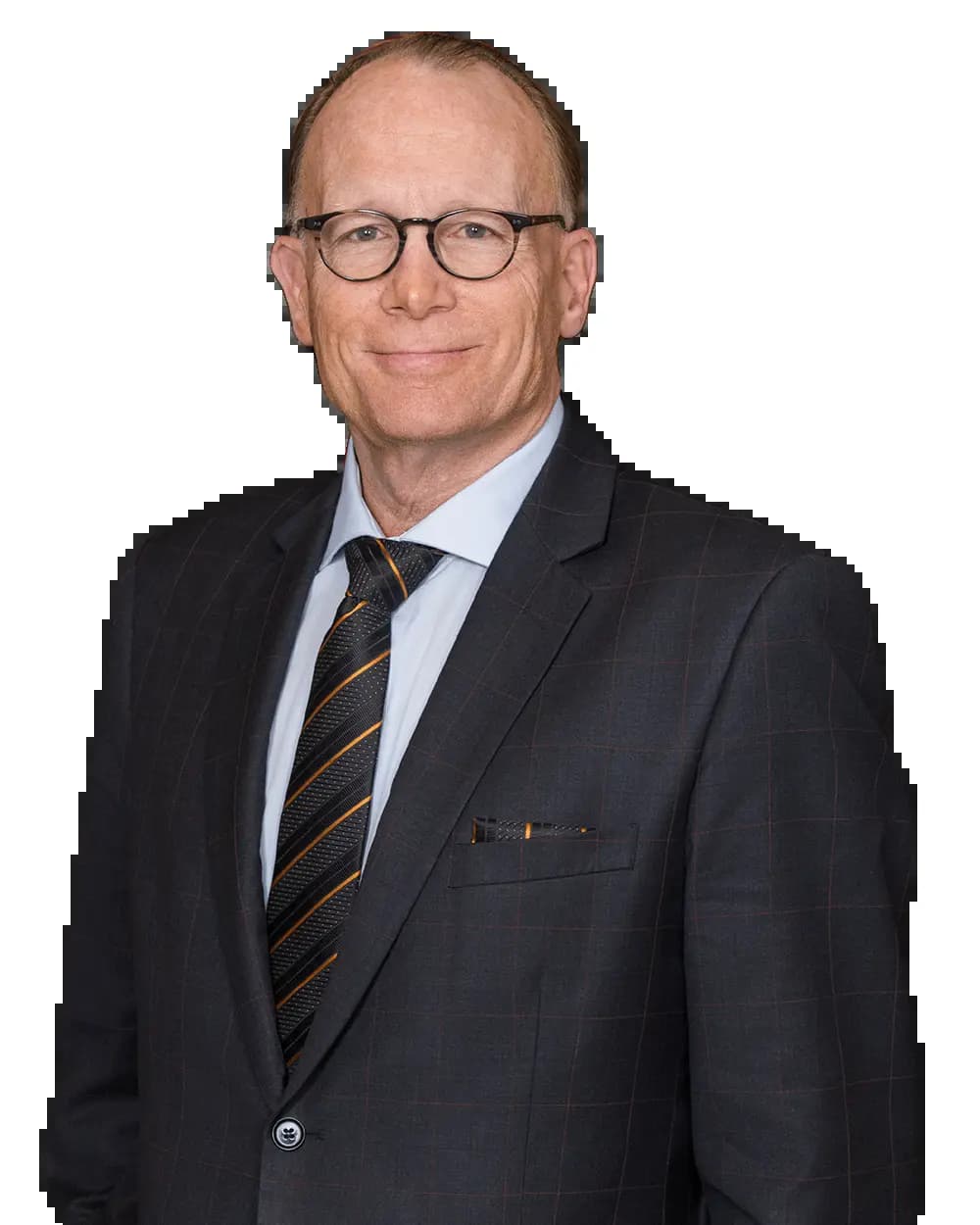Portrait of Albert Salvi
