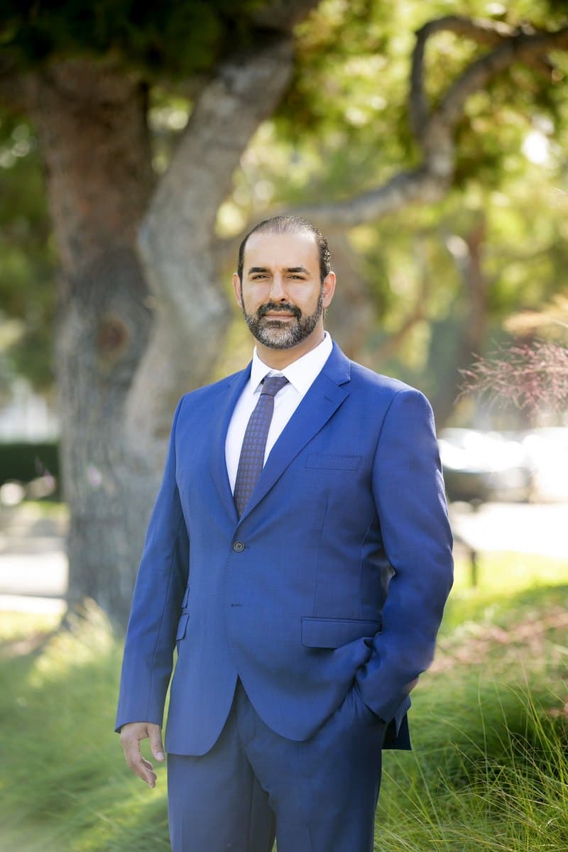 Portrait of Babak Hashemi