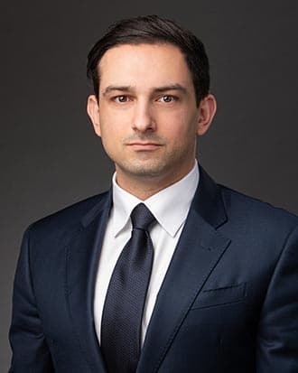 Portrait of David Gonadze